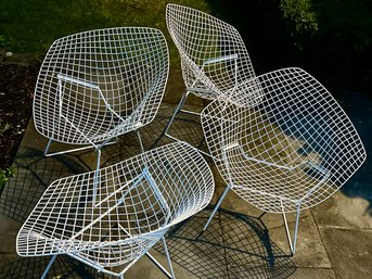 Diamond Bertoia Lounge Chairs In White (4) For Knoll