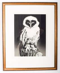 Sylvia Roth 'Young Bespectacled Owl' Lithograph 1/1