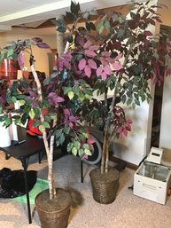 Two Faux Ficus Trees