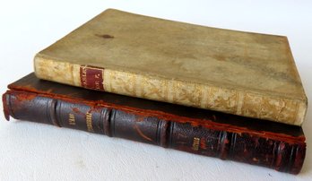 Two French 18th Century Books. The First, Titled 'L'ane Promeneur, Ou Crites Promene Par Son Ane.', Premier E