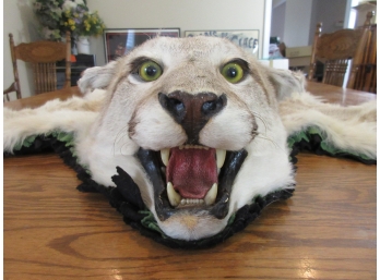 Mountain Lion Pelt Rug