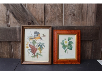 2 Vintage Framed Botanicals