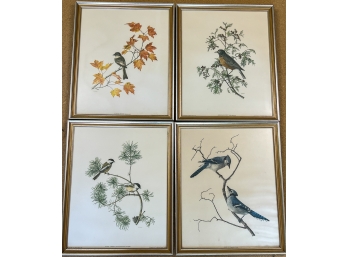 (4) BIRD PRINTS by MILDREN MORSE ALLEN