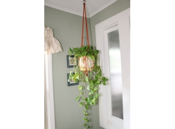 Hanging Flower Pot (1)