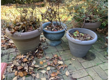 4 Large Size Composition Planters Some With Plants