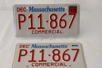 73. Matched Pair Commercial Plates