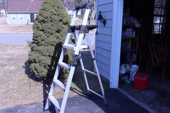 485 Costco Folding Painting Ladder