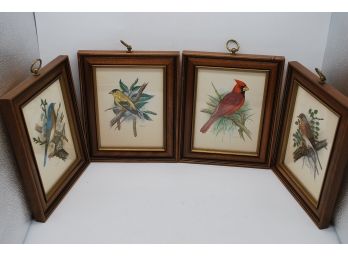 4 Bird Prints-248