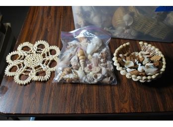 Large Lot Of Sea Shells - 73