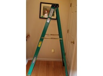 Werner 6' Fiberglass Step Ladder-146