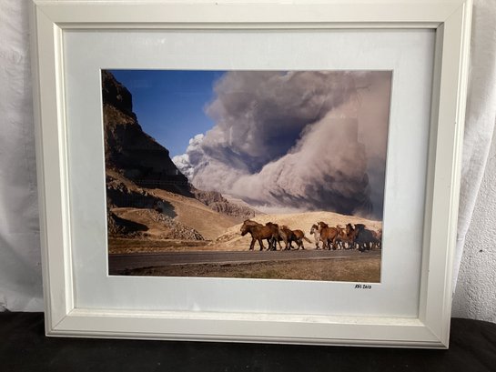 Horses Are Herded Away From The Eyjafjallajkull Volcano's Ash Plume On April 17, 2010. Photo Signed Ros