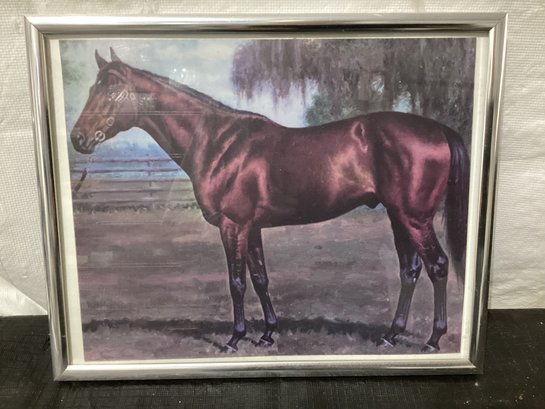 Dr Fager - Horse