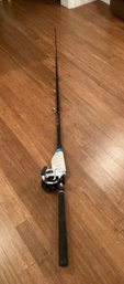 Salt Water Power Rod And Penn Reel