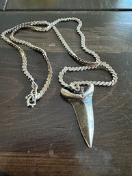 Sterling Shark Tooth And Chain