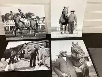 Horses, Grooms And Jockey's Photos, Seabiscuit, Native Dancer, Man O War