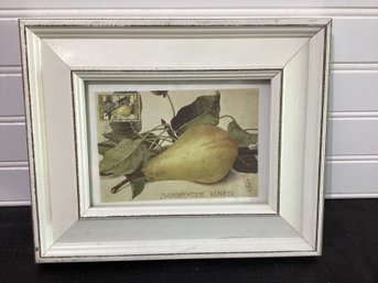 Donald Evans Print Of Pear With Postage Stamp