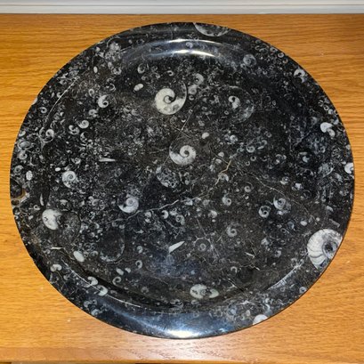 Super Cool Real Stone Fossil Marble Serving Platter/Plate