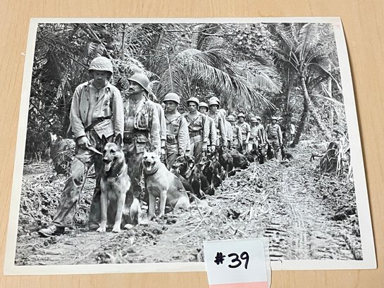 'JAP HUNTERS' U.S. Marines & Their Devil Dogs WWII Original Press Photo