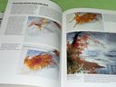 How To Make A Watercolor Paint Itself 1999 Art Book