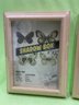 (3) 5' X 7' Shadow Boxes - Art, Collection Display Frames NEW