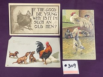 Set Of 3 Antique Chicken Postcards
