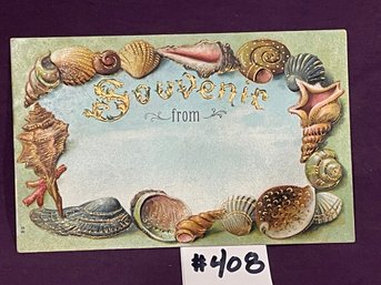 Blank 'Souvenir From' Embossed Seashells Antique Postcard