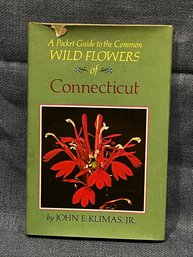 'A Pocket Guide To The Common Wild Flowers Of Connecticut' (1975)