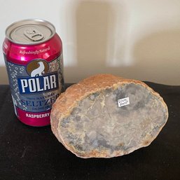 DINO POOP Stone Fossil - Antique Dinosaur Dung