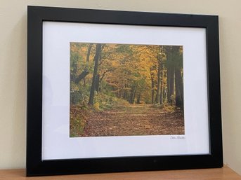 Framed Nature Trail Photo Print - Signed (Lover's Leap, New Milford?)