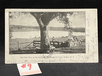 'Old Oak Tree At Kaese's' Washington Lake - Yulan, NY 1906 Antique Postcard