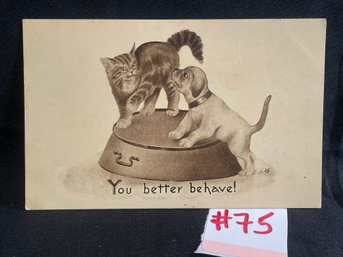 1911 Antique Cat & Dog Postcard 'You Better Behave!'