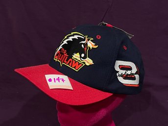 'The Outlaw' Dale Earnhardt, Jr. NASCAR Hat - New With Tags