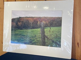 'Pastoral Tranquility' Matted Photo Print - Connecticut, Richard Andrew