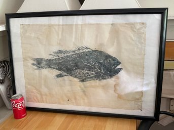 Vintage Fish Print (Large Single Fish) - Naturalistic Art Framed