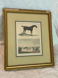 Antique 1802 Horse, Equestrian Hand Colored Engraving - Framed