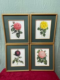 Set Of 4 Lovely Rose Prints