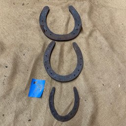 Horseshoes Lot VINTAGE Different Sizes