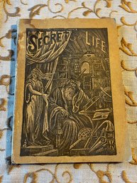 'secrets Of Life And Lost Manhood' Antique SEX Book