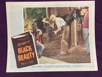 'Courage Of BLACK BEAUTY' 1957 Movie Lobby Card