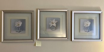 Set Of 3 Framed Floral, Flower Prints