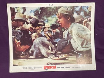 'Rascal' 1969 Disney Movie Lobby Card VINTAGE
