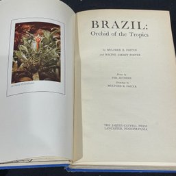 BRAZIL: Orchid Of The Tropics 1946 Vintage Book