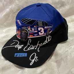 Dale Earnhardt, Jr. ACDeclo NASCAR Racing Hat