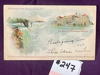 Niagara Falls 'The Natural Food Conservatory' Antique Postcard