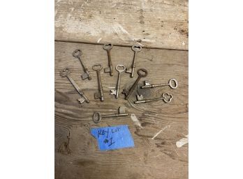 Lot Of 10 Antique Skeleton Keys (Lot #1)