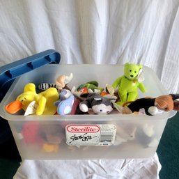 Bin Of Mini TY Beanie Babies