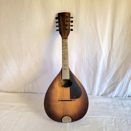 Vintage 1920s  Natural Mandolin By Supertone