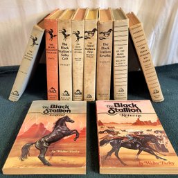 Vintage Black Stallion Books