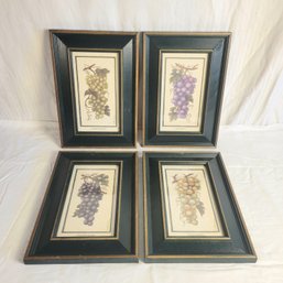 Set Of 4 Framed Grape Prints Signed By Martha Hinson