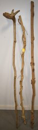 (3) NATURAL LONG WAKLING STICKS